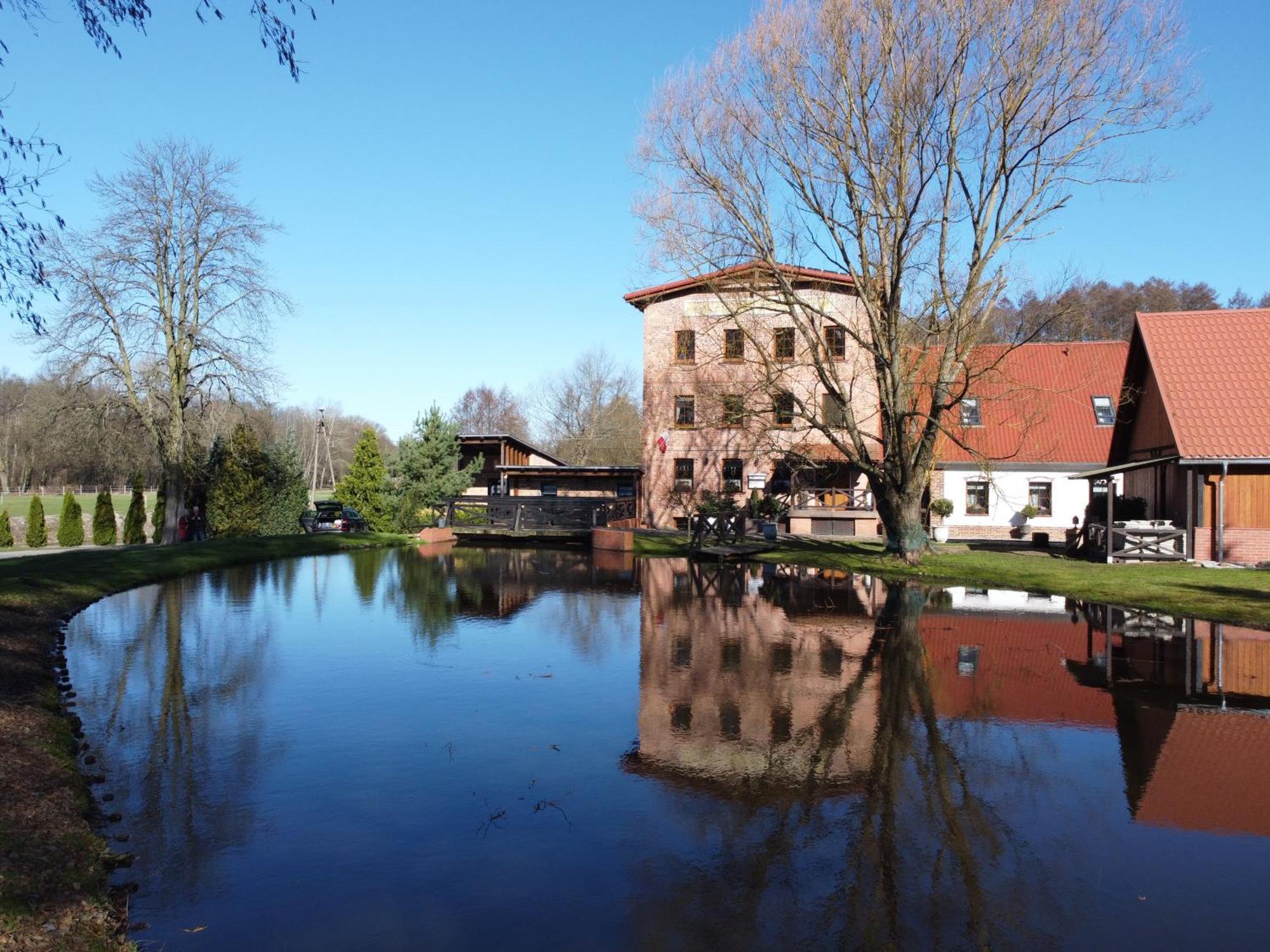 Stary Mlyn W Brzeznicy Villa Brzeznica  Екстериор снимка